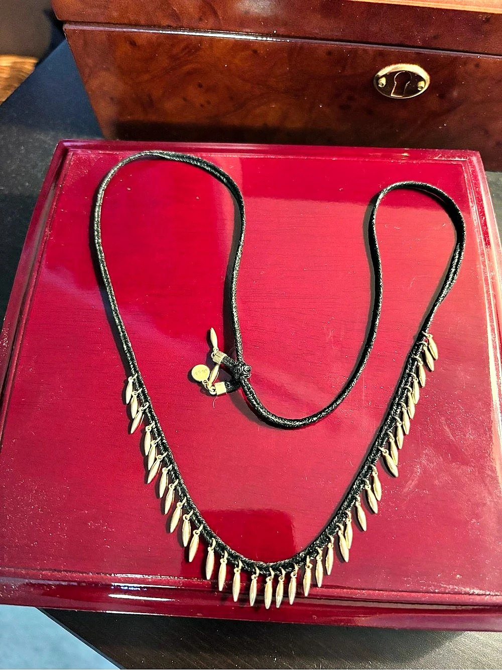 Stella & Dot Versatile Fringe Necklace Black & Gold